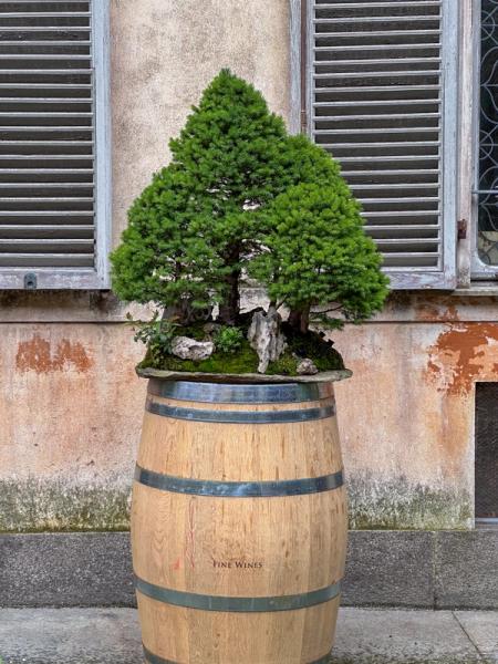 Evoluzione 4