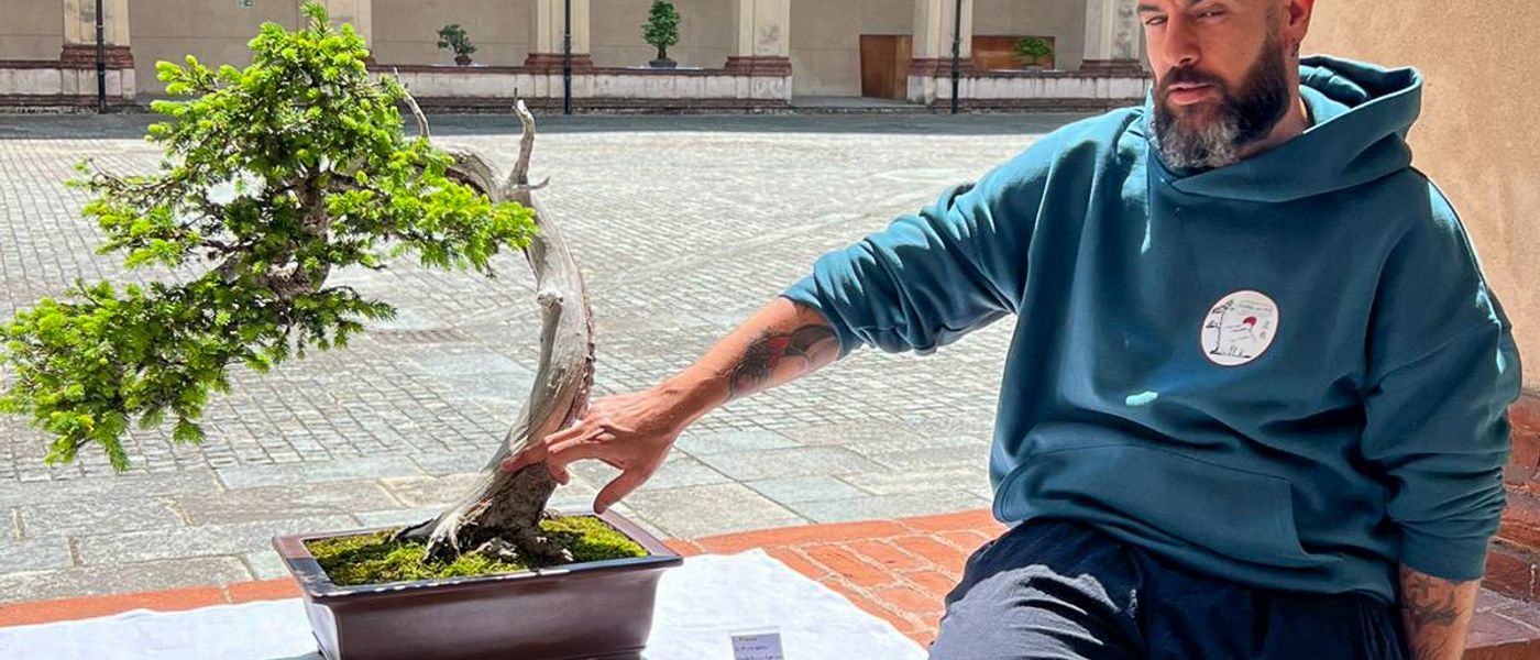Come scegliere il primo bonsai