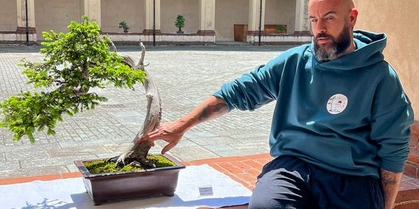 Come scegliere il primo bonsai