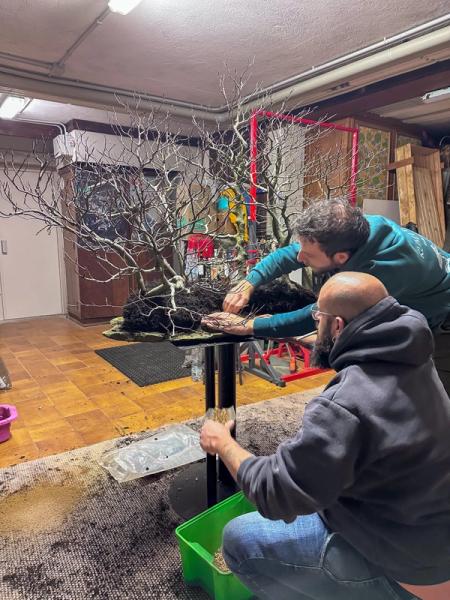 La prima sera al club bonsai