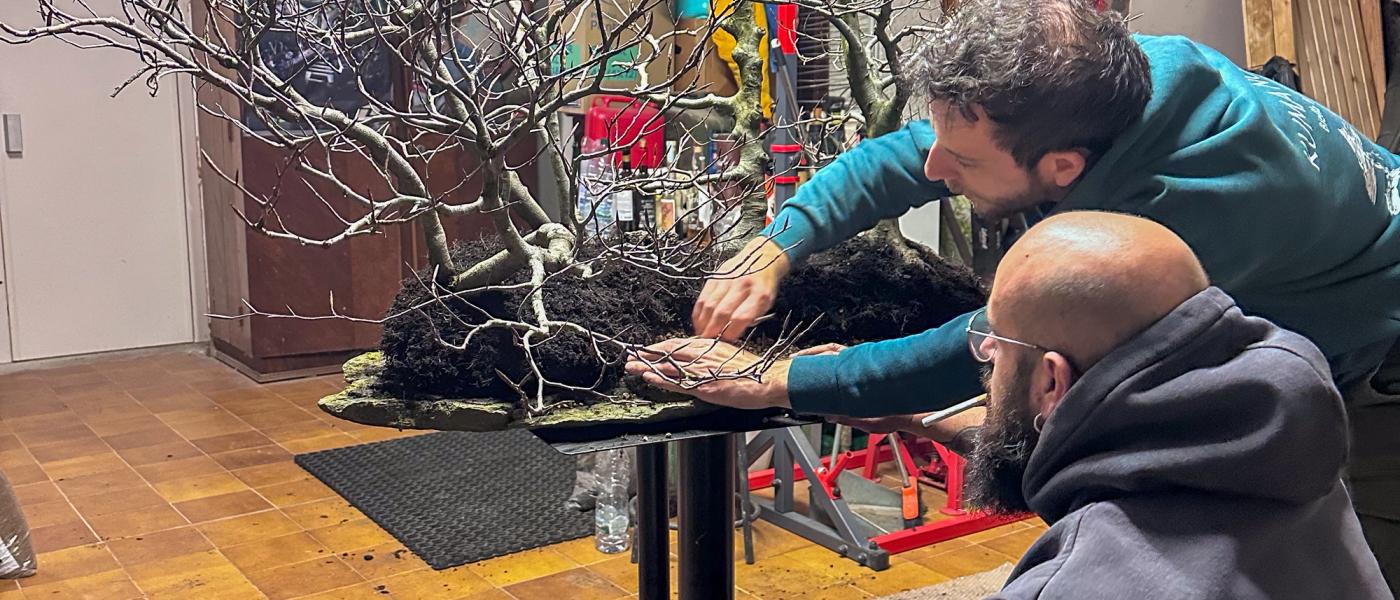 La prima sera al club bonsai