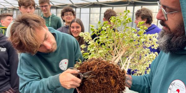 Perché iscriversi a un club bonsai a Biella cambia davvero il tuo percorso