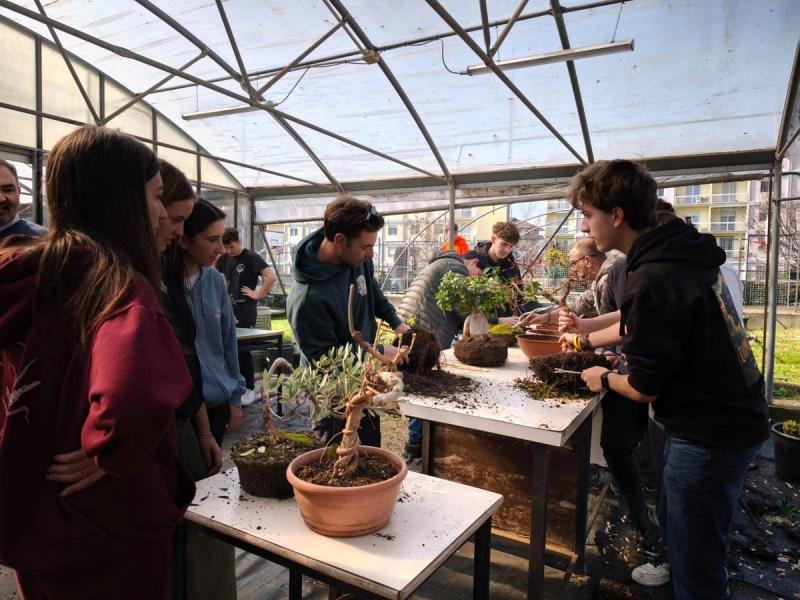 Dal banco alla pratica, il bonsai torna all’Agrario di Biella