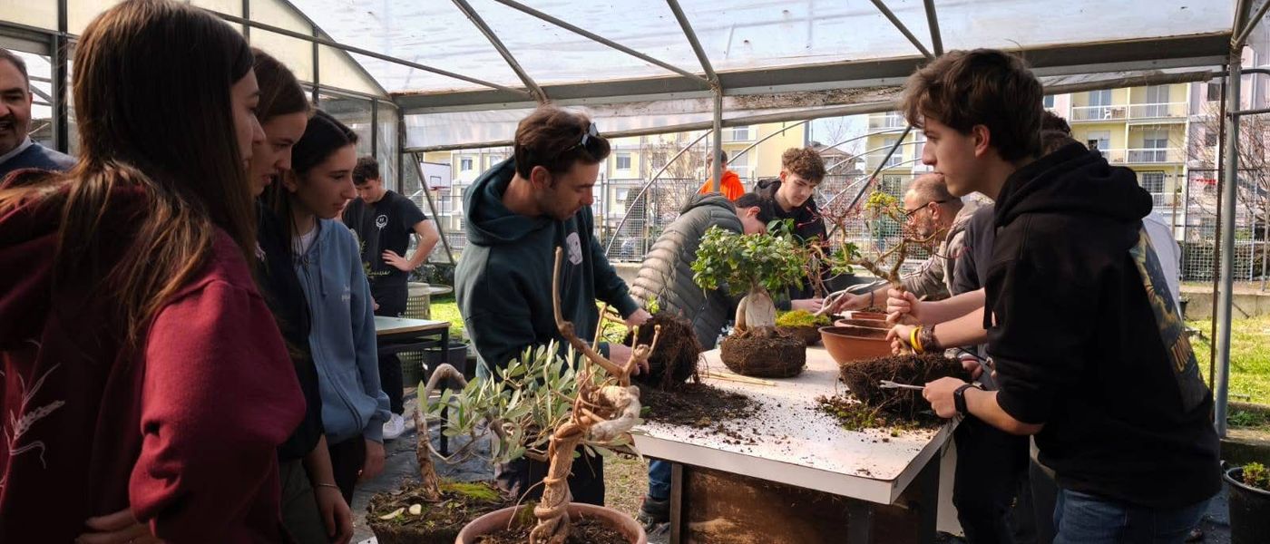 Dal banco alla pratica, il bonsai torna all’Agrario di Biella