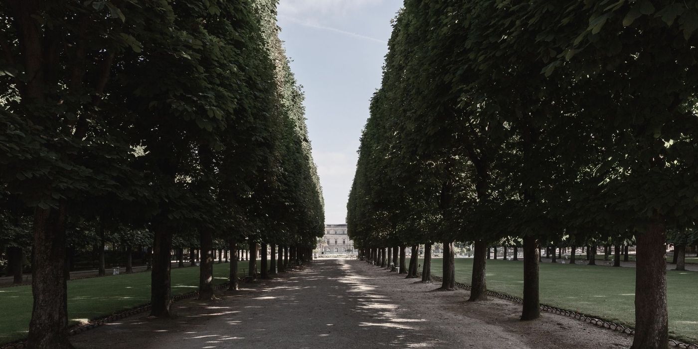 The formal gardens of the Jardin du Luxembourg in Paris Left Bank