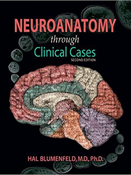Textbook cover: "Neuroanatomy through Clinical Cases, Second Edition," featuring a colorful brain diagram.