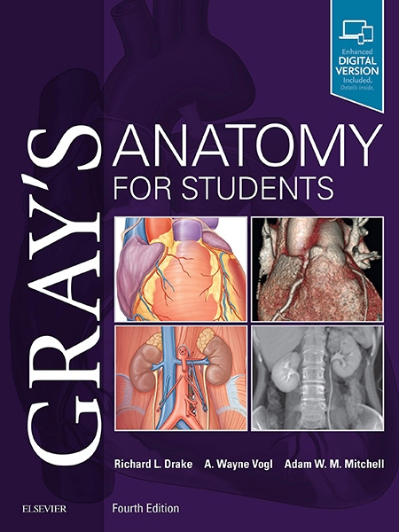 "Gray's Anatomy for Students" textbook, 4th edition, with human anatomy illustrations and authors' names.