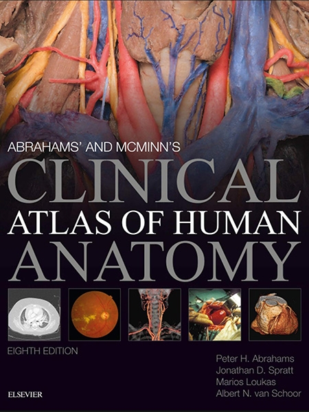 Cover of "Clinical Atlas of Human Anatomy" 8th edition, featuring anatomical visualizations.