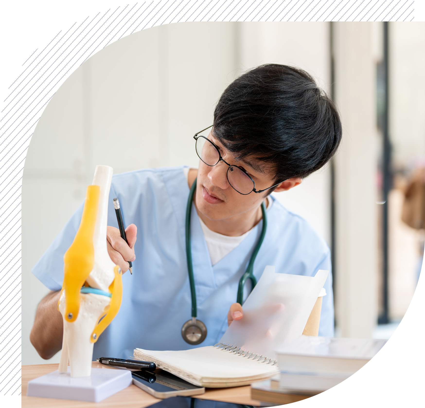 Medical student studies knee anatomy model with notes and pencil in an office.