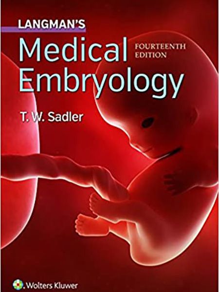 Book cover: Langman's Medical Embryology, Fourteenth Edition. Illustration of a fetus in utero.
