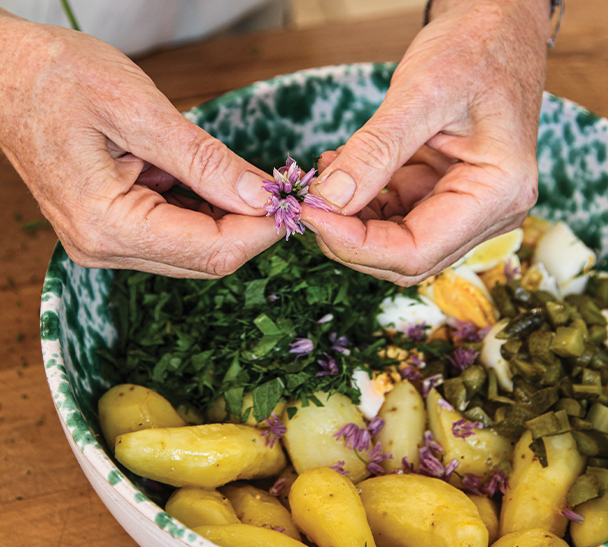 Herbed Egg & Potato Salad - Langbein – Recipes