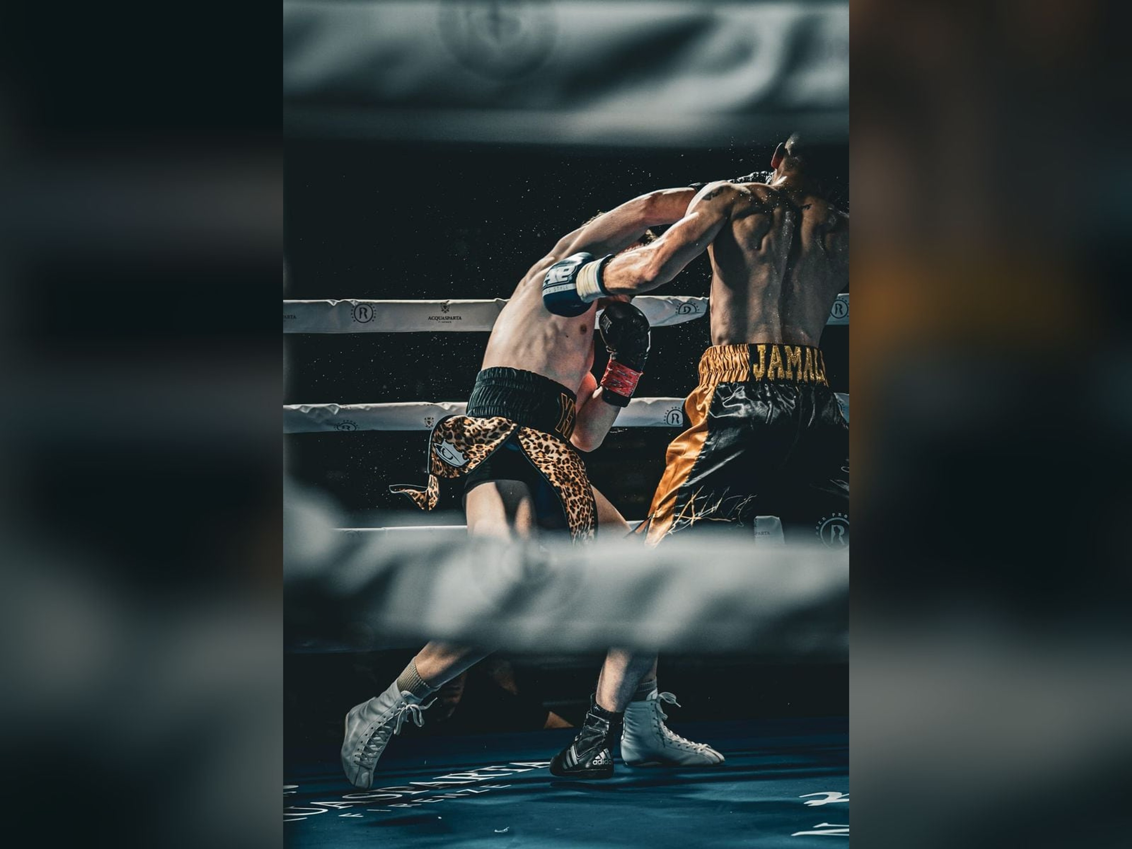 Segrate Boxe