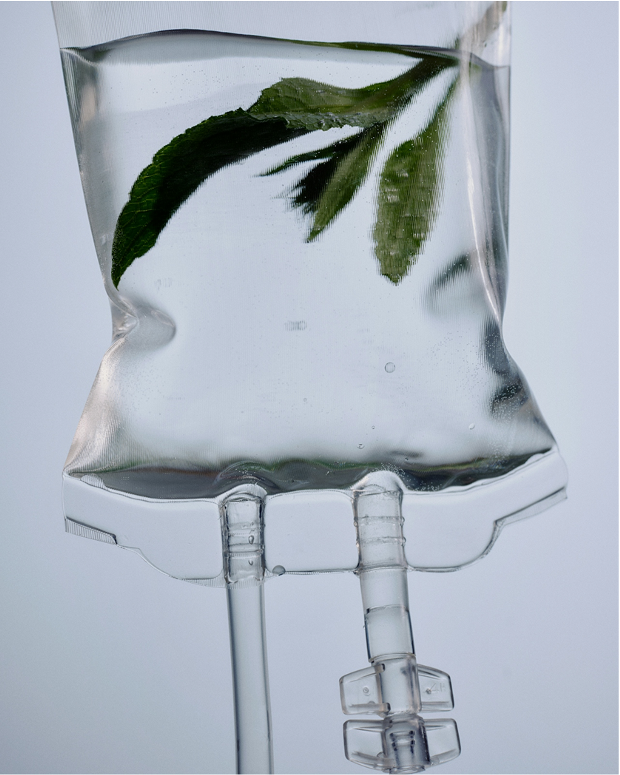 Clear IV bag of water with green leaves inside