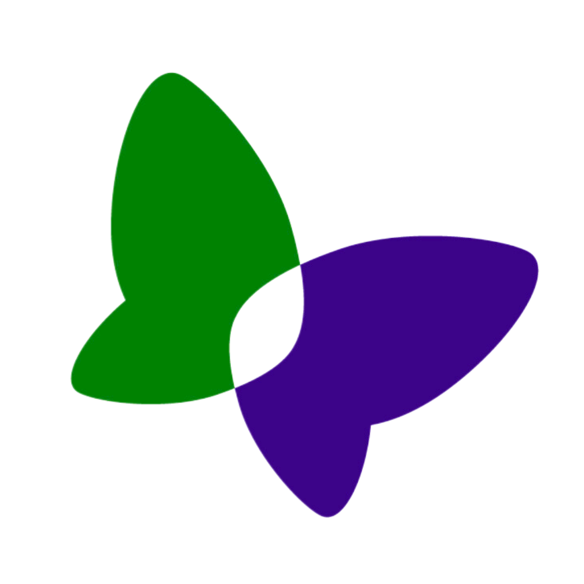 People First NZ Butterfly that is blue and green