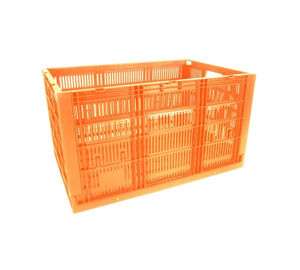 Caja CPR Colapsable