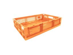 Caja CPR Colapsable 13