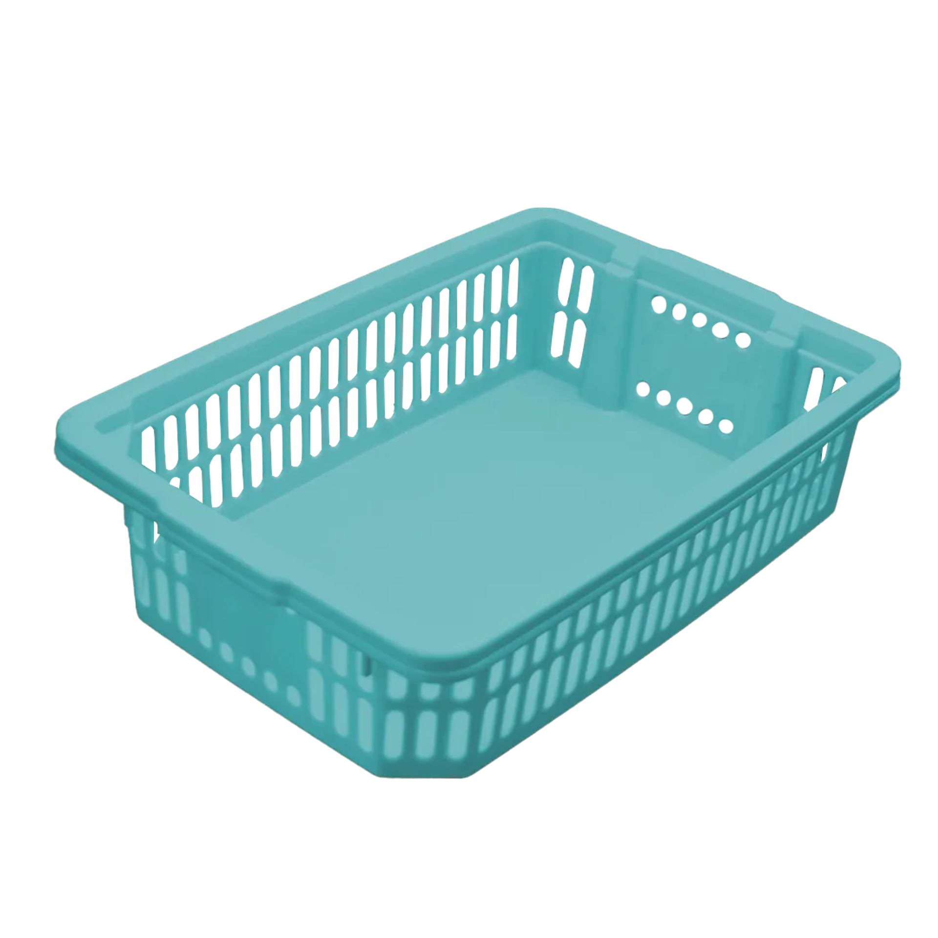 Cesta Roni
