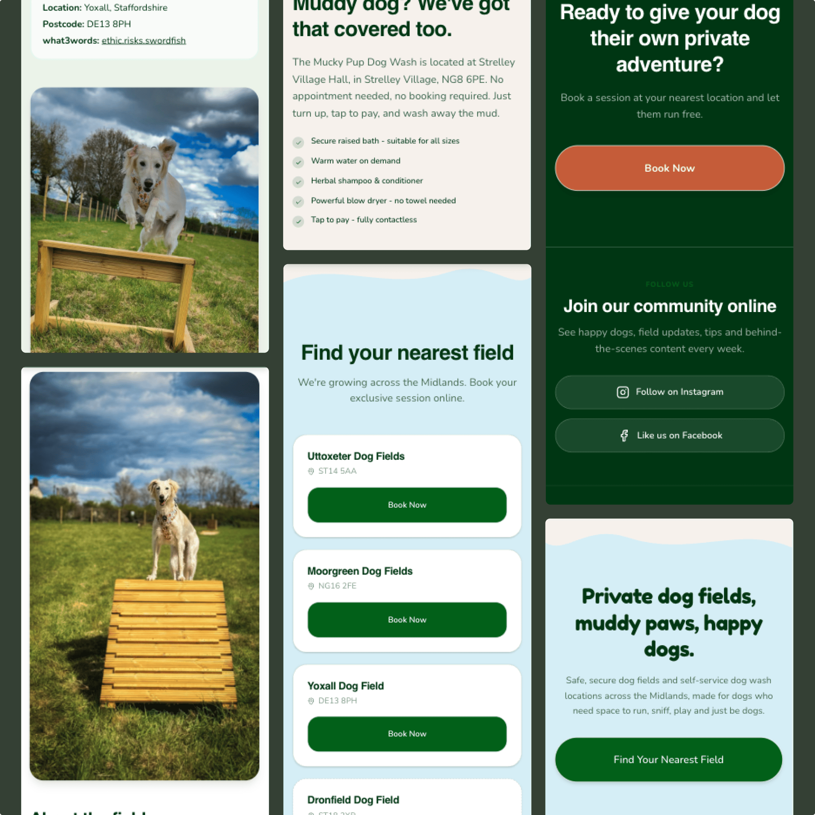 Design reference image, mobile design