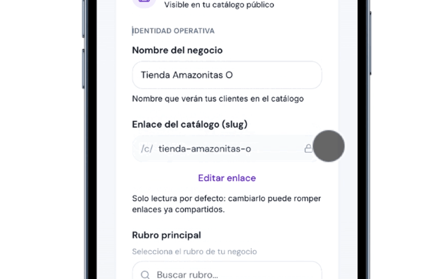 Selección o ingreso del rubro del negocio en la configuración de Ventalink