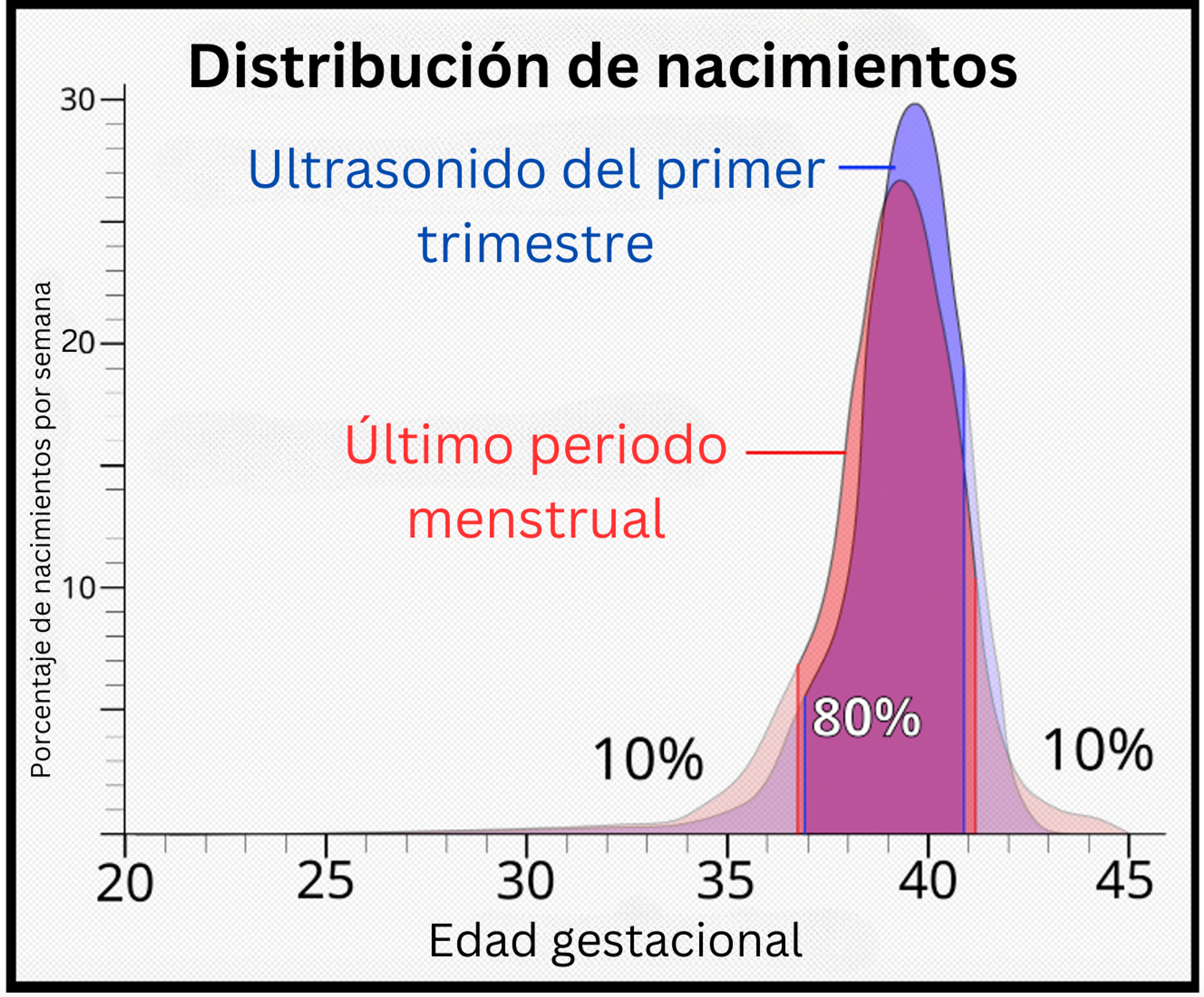 edad gestacional