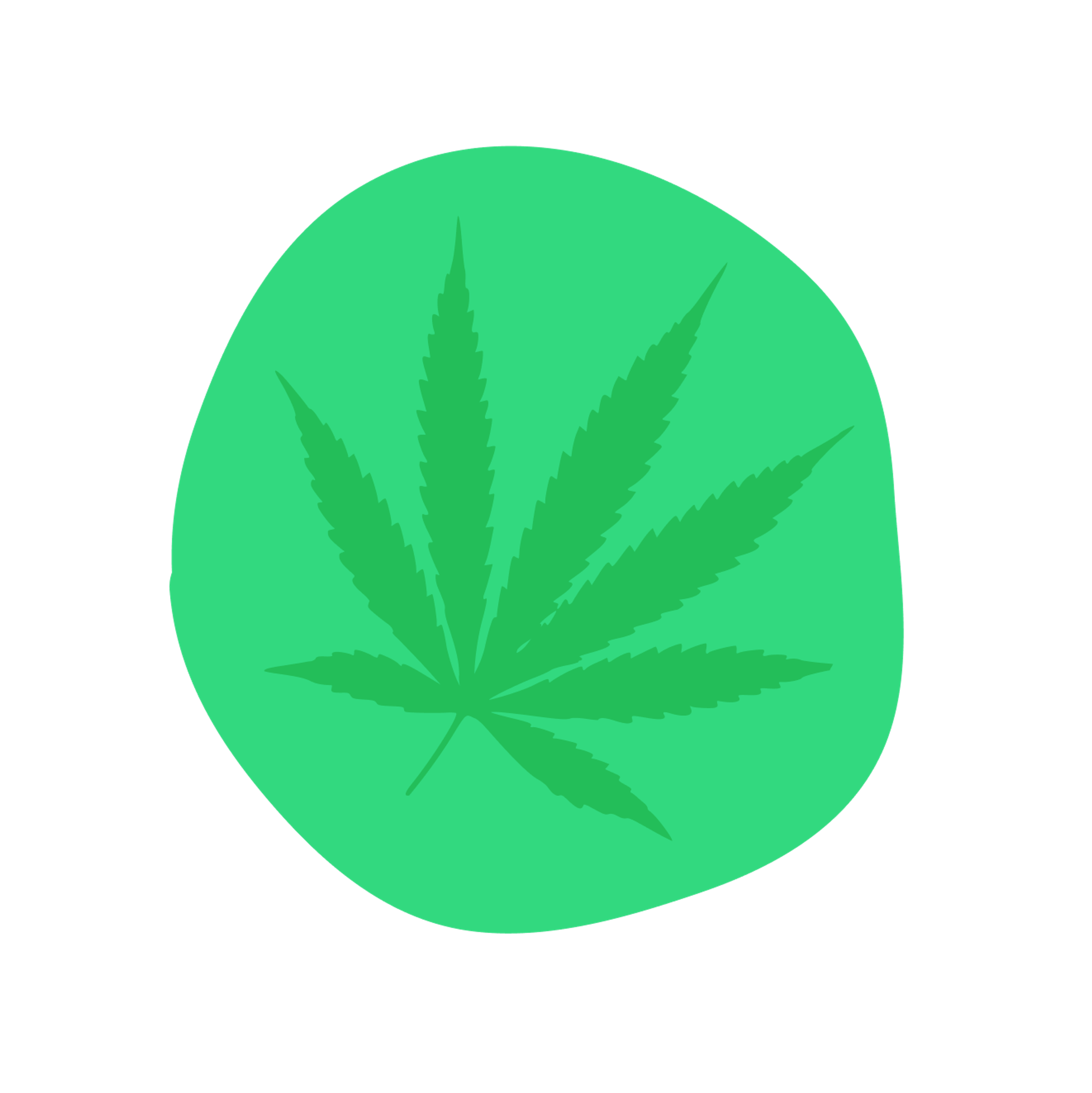 marijuana leaf with green background