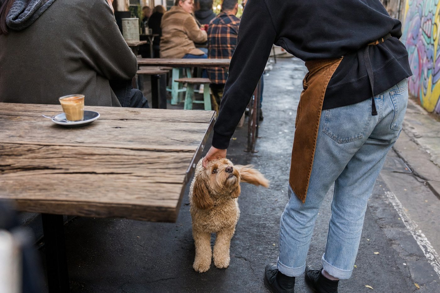 Dog-Friendly Cafes in Australia: What to Expect and Etiquette
