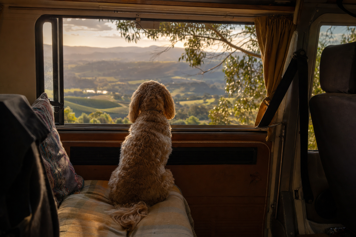 Travelling Australia with an anxious dog