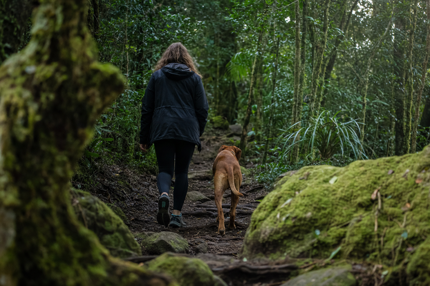 Traveling With an Anxious Dog: Calming Strategies That Actually Work