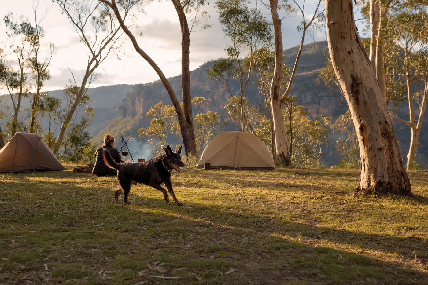 The best dog friendly camping in Australia