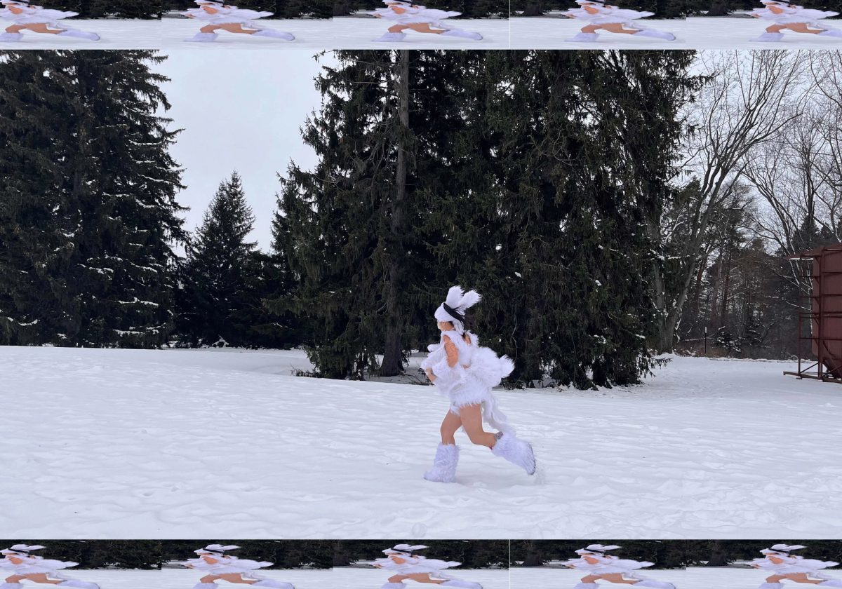 GRAVE, CAKE, TAIL: IN CONVERSATION WITH EMIRI FUJIMOTO