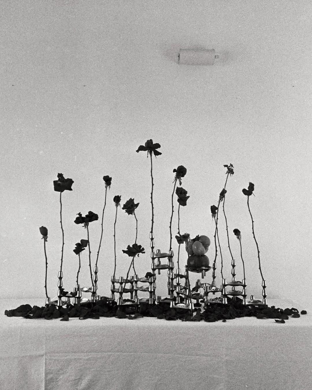 FLOWERS, INTUITION, AND THE STORIES THEY CARRY: IN CONVERSATION WITH CROCO