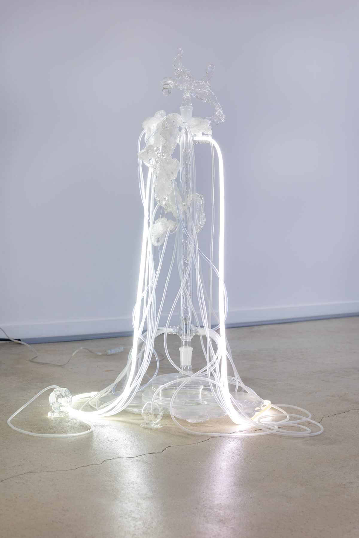 A TRANSPARENT, DISTORTING MEMBRANE: IN CONVERSATION WITH HAYNE PARK