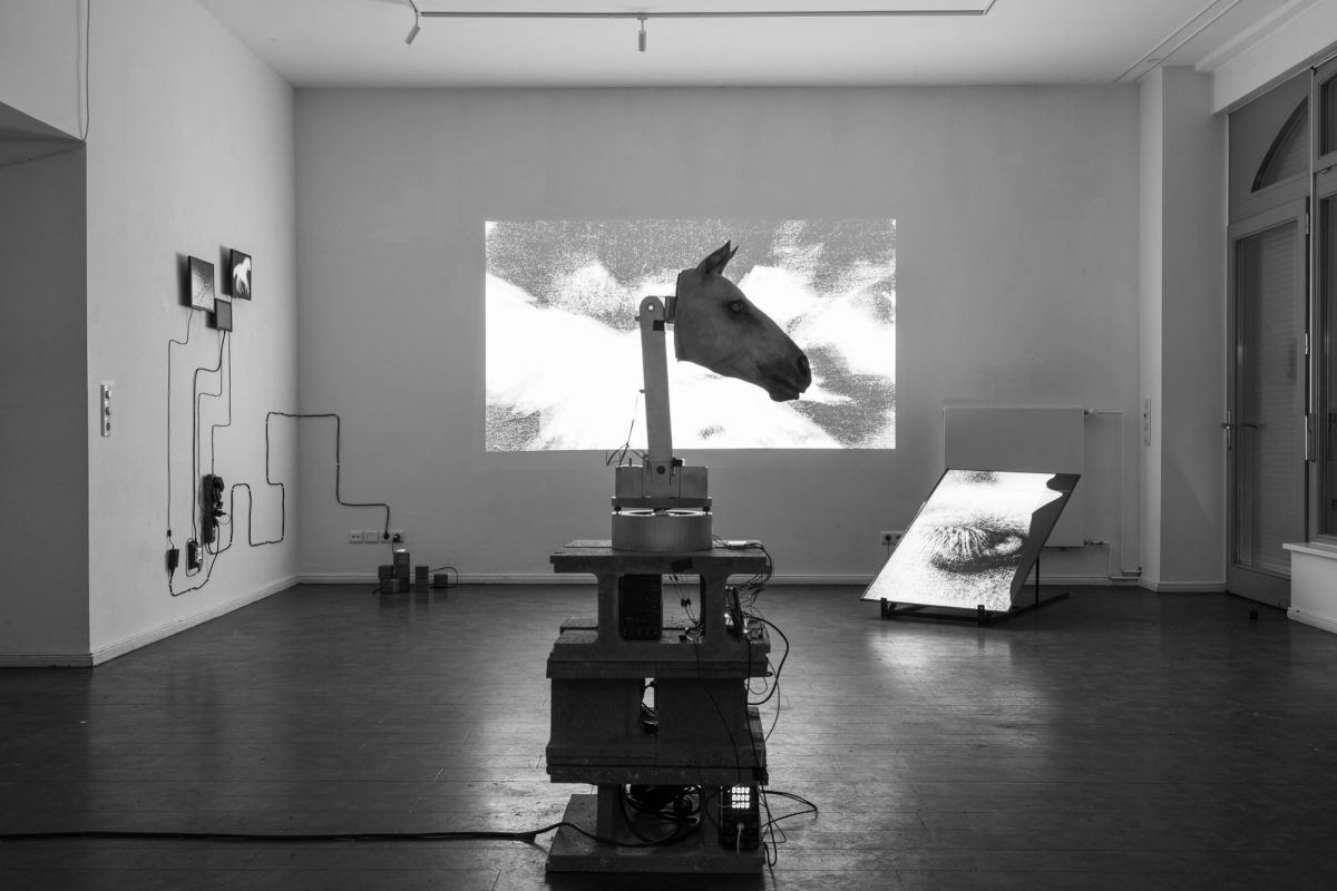 PROTECT ME FROM WHAT I WANT: IN CONVERSATION WITH LIZA ABRAMISHVILI