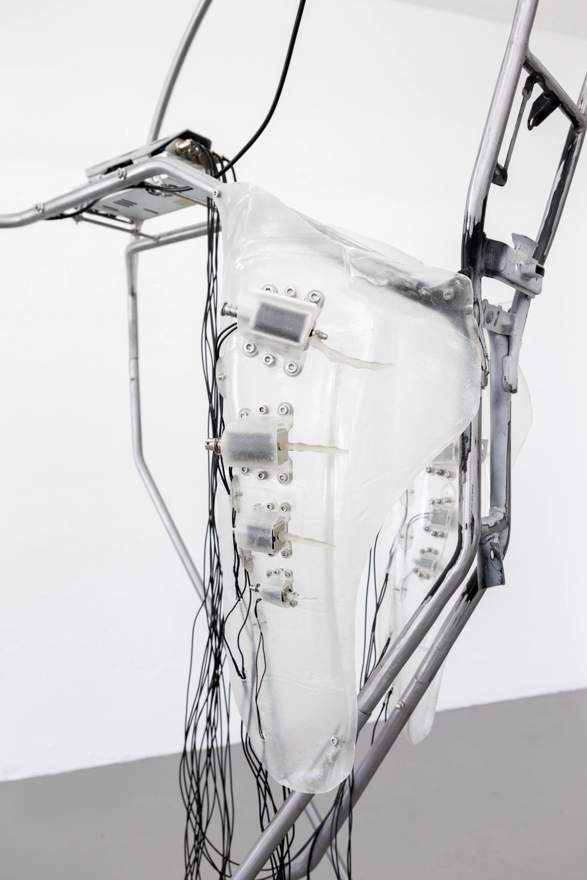 GROWN, NOT BUILT: IN CONVERSATION WITH JOHANNES THIEL