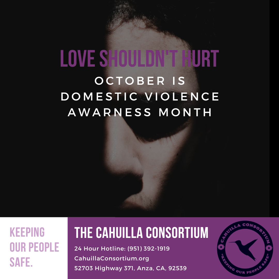 Domestic Violence Awareness Month - The History 