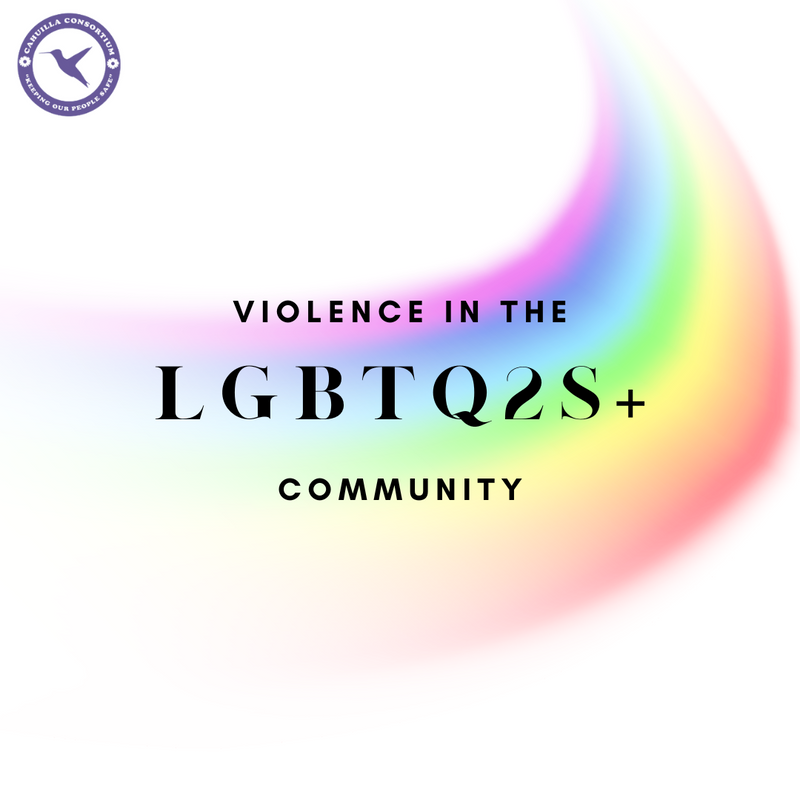 Violence in the LGBTQ2S+ Community 