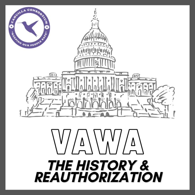 The Violence Against Women Act - The History and Reauthorization | CCVAP