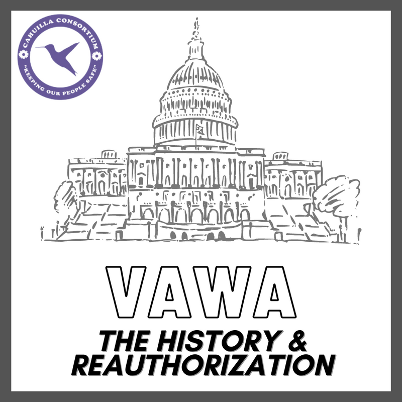 The Violence Against Women Act - The History and Reauthorization