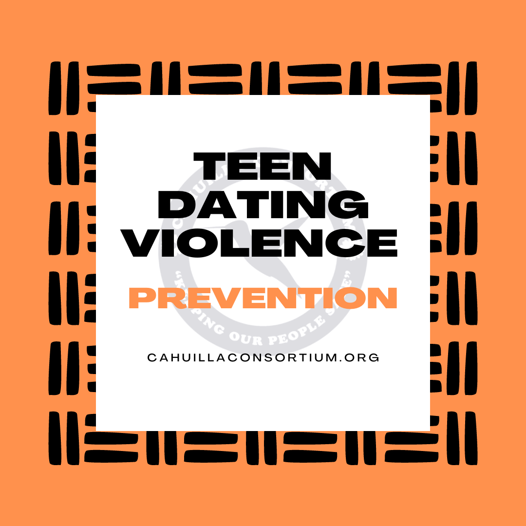 Teen Dating Violence - Prevention 