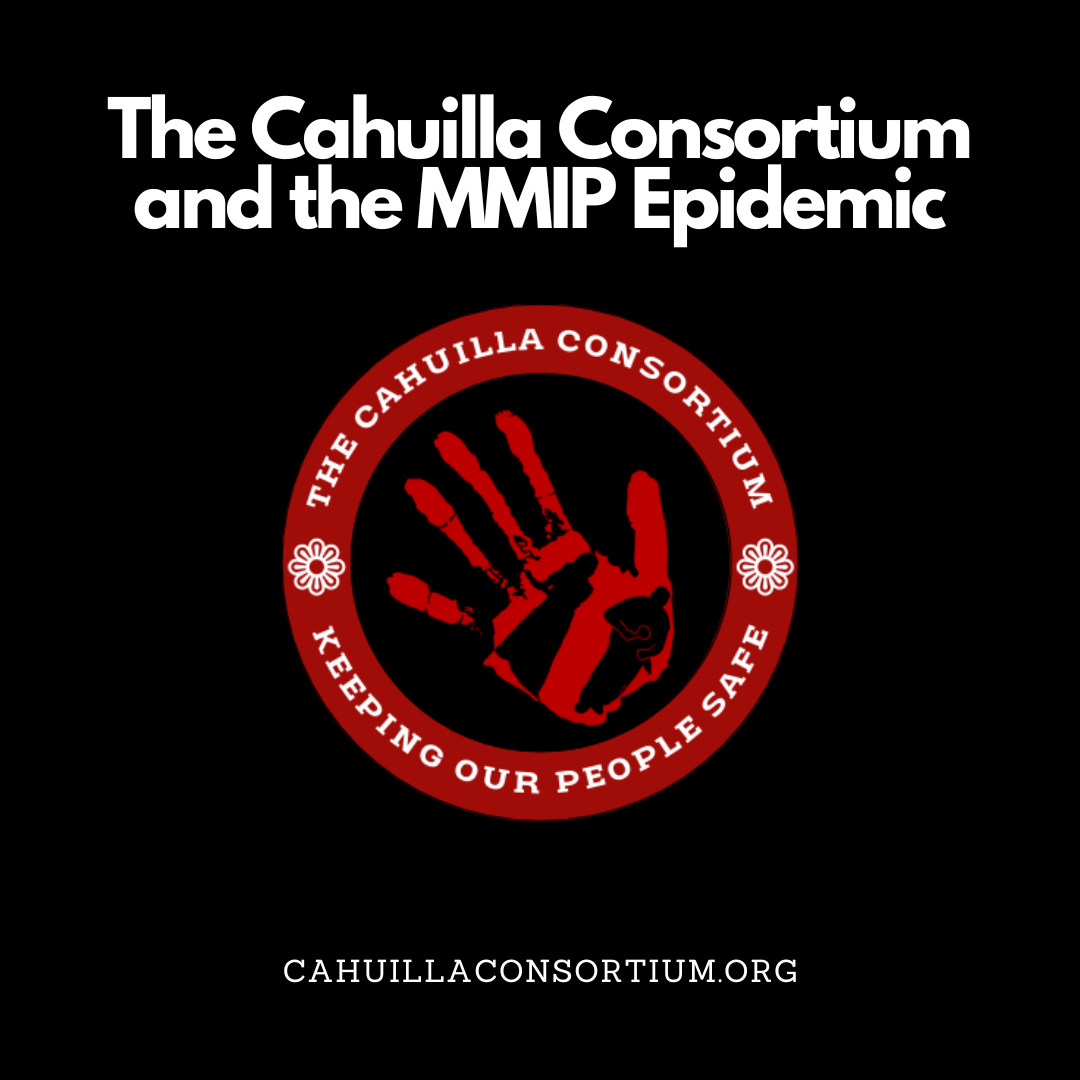 The CCVAP and the MMIP Epidemic