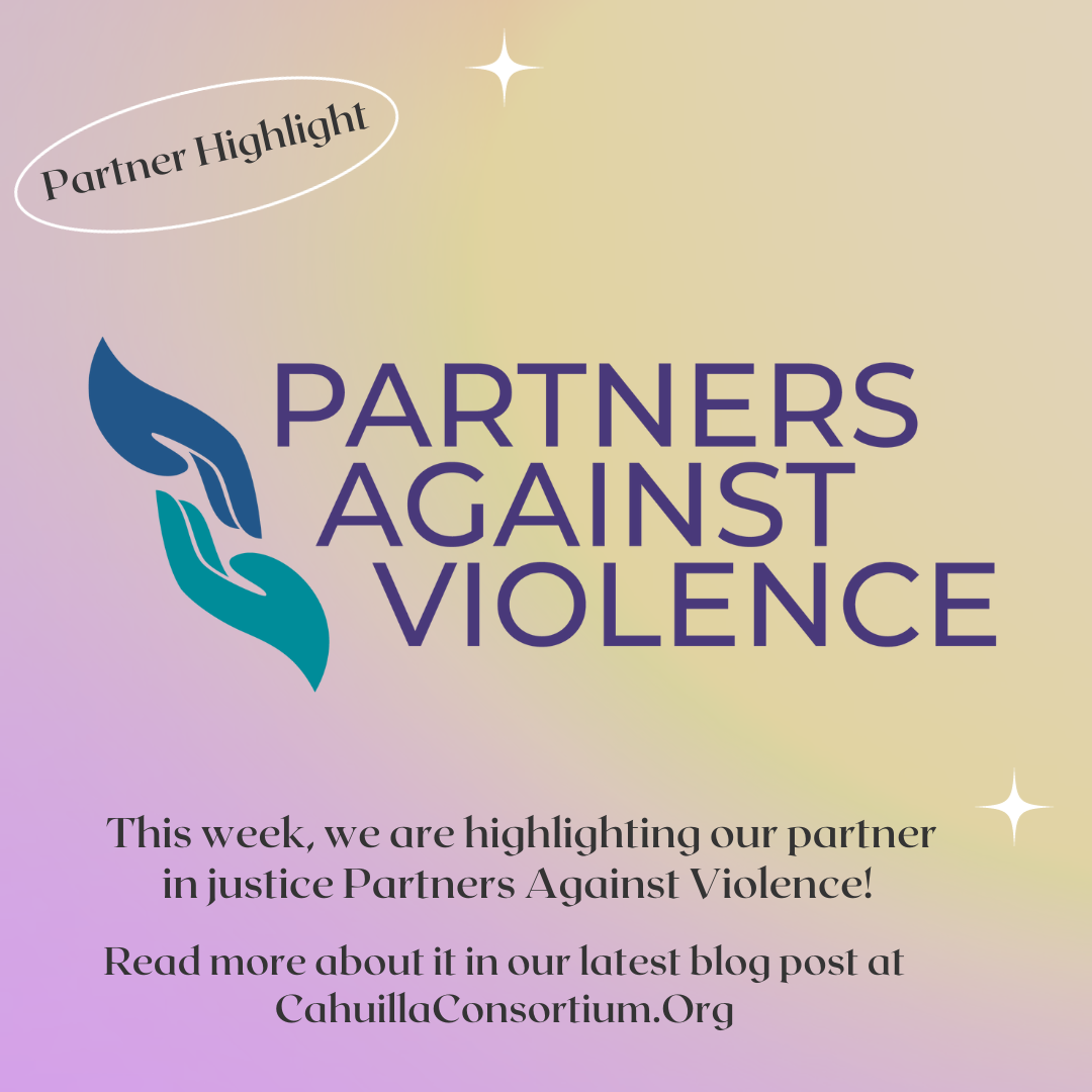 Partner Highlight - Partners Against Violence