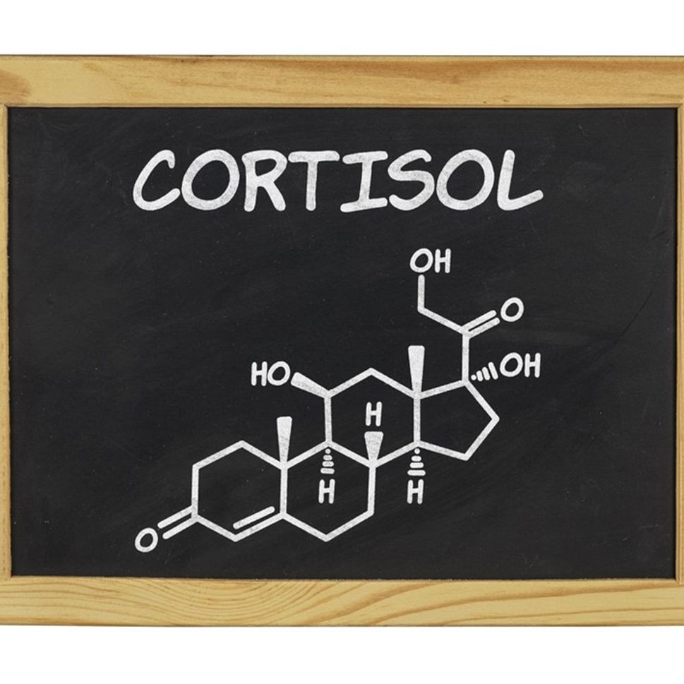 So, what about CORTISOL?