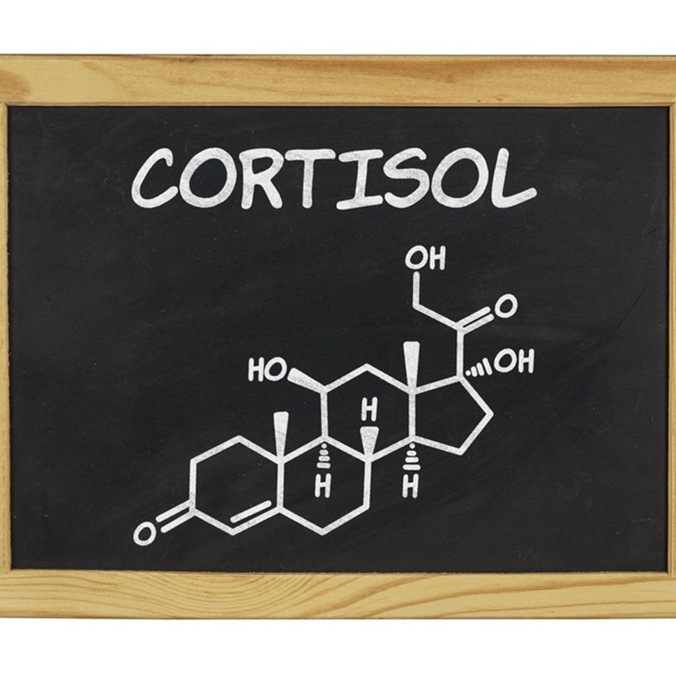 So, what about CORTISOL?