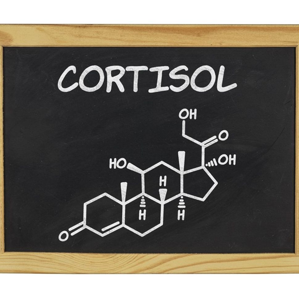 So, what about CORTISOL?