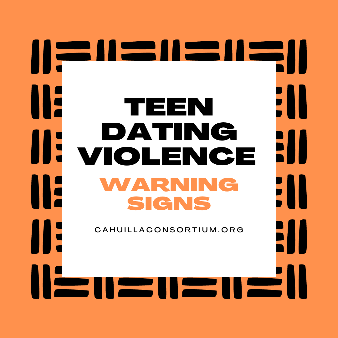 Teen Dating Violence - The Warning Signs