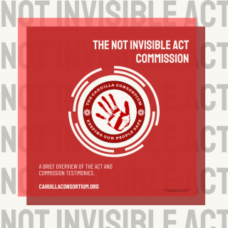 The Not Invisible Act Commission 