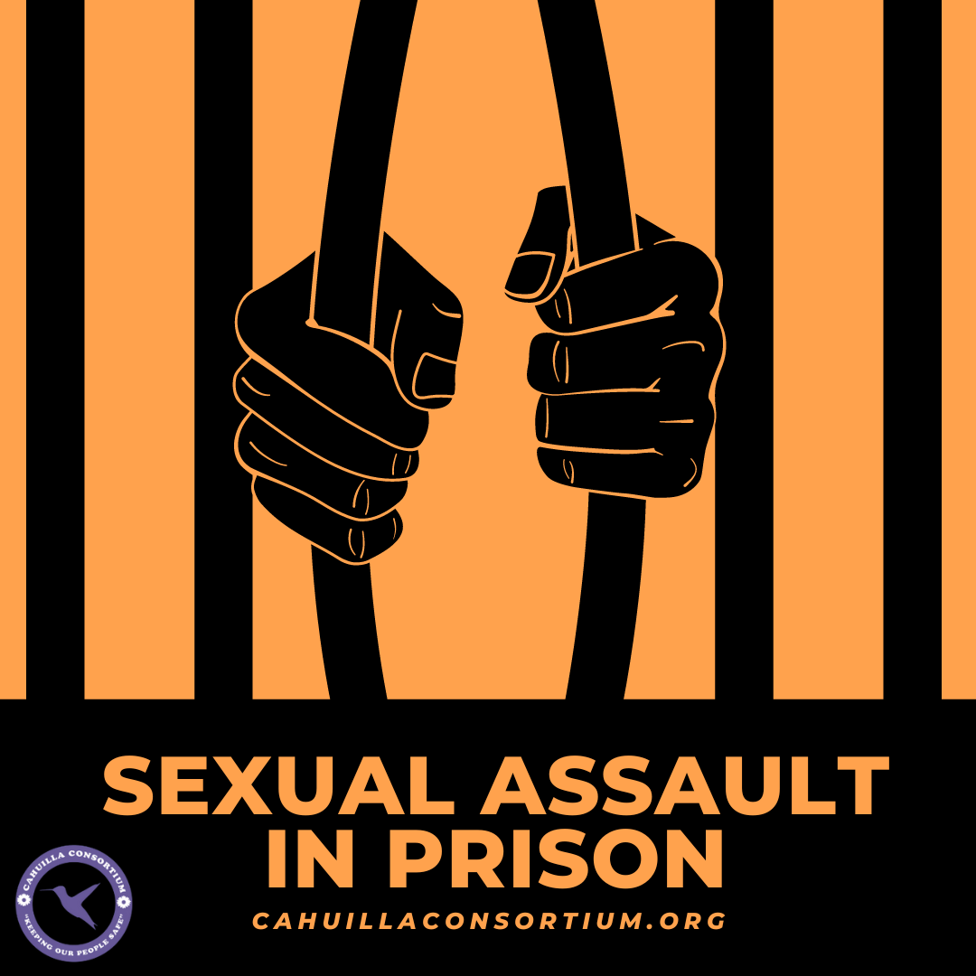 Sexual Assault in Prison