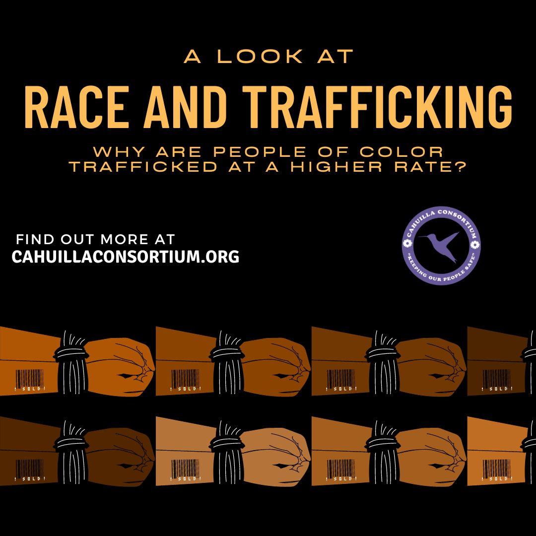 A Look at Race and Trafficking