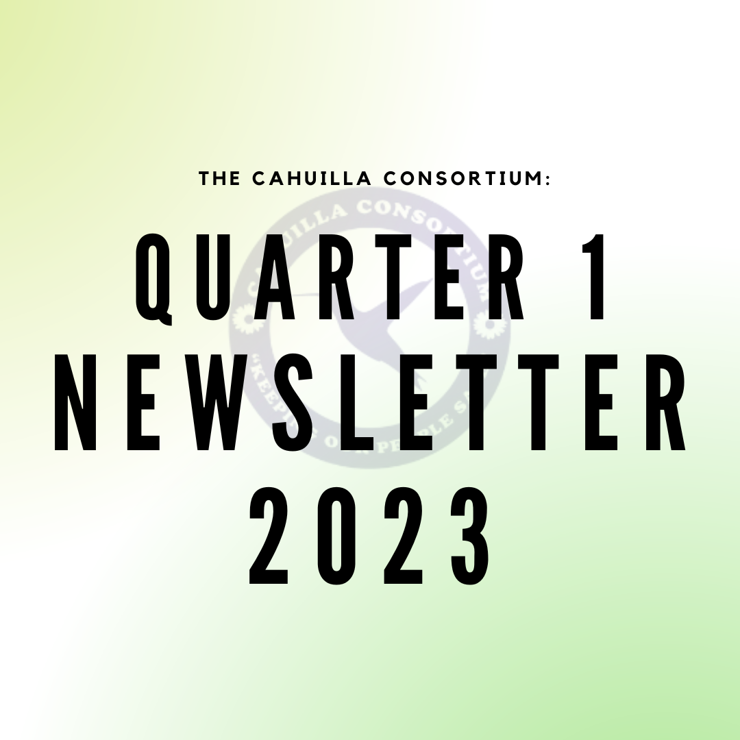2023 - Quarter 1 Newsletter