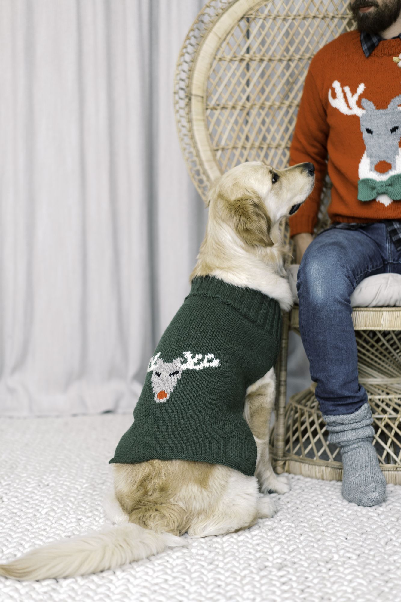 Reindeer sweater for dogs Novita Nordic Wool Example 1